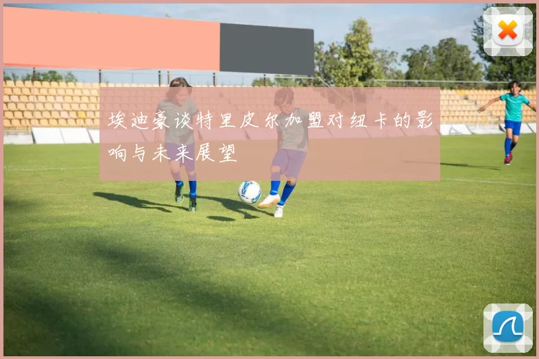 埃迪豪谈特里皮尔加盟对纽卡的影响与未来展望