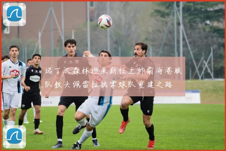 诺丁汉森林迎来新任主帅前海港狼队教头佩雷拉执掌球队重建之路