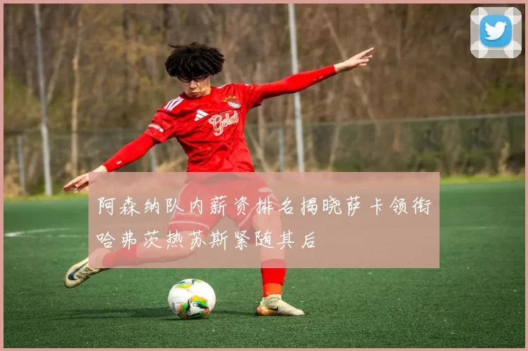 阿森纳队内薪资排名揭晓萨卡领衔哈弗茨热苏斯紧随其后